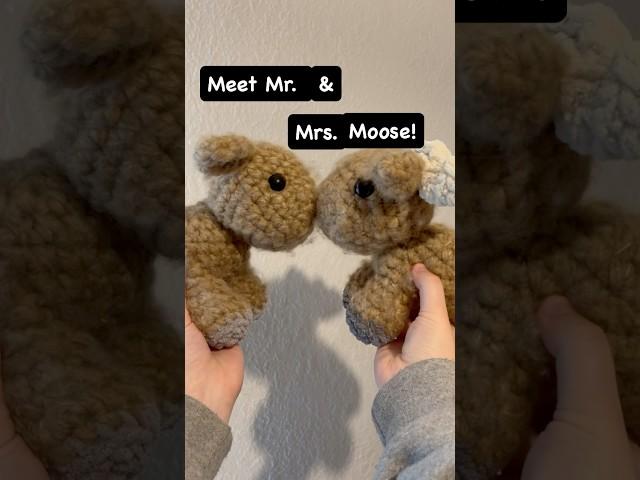 Meet Mr. And Mrs Moose! How cute is this pair?