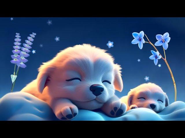 Baby Songs to Sleep | Bedtime Songs for Toddlers