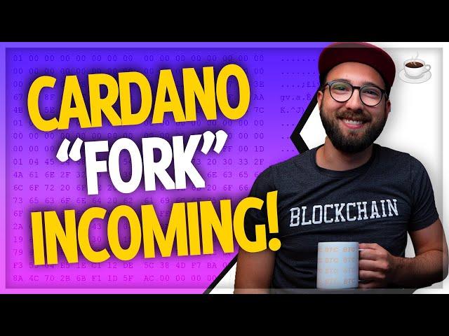 Cardano update, Elrond, BTC price analysis & more! // Crypto Over Coffee ep.52