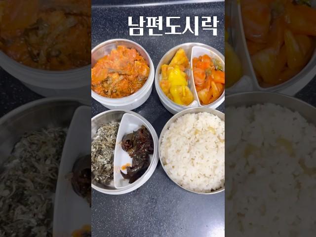 남편 도시락 메뉴 추천 #도시락 #food #shorts #도시락반찬