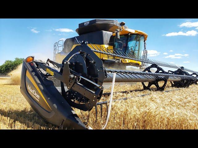 Millennial Farmer Wheat Harvest