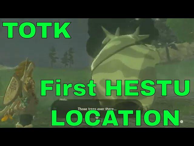 Legend of Zelda Tears of the Kingdom - WHERE IS HESTU - FIRST LOCATION