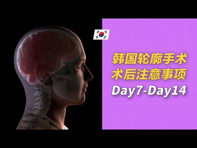 【第3部】韩国轮廓手术后注意事项，术后第7天到14天的护理流程。