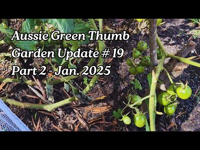 Nathan's Garden Update #19 Pt 2 - Tomato Trellis, Hydroponic Tower, and Garden Bed Progress