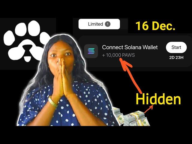 PAWS Airdrop: How To Connect Solana Wallet To Paws