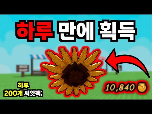 허니를 가장 빠르게 얻는 비밀의 방법 총정리 가이드