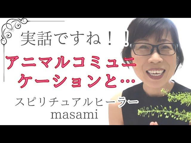 #アニマルコミュニケーション　してるんです私スピリチュアルヒーラーです