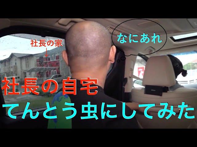 【切り抜き】社長の自宅を勝手にてんとう虫カラーにしてみた