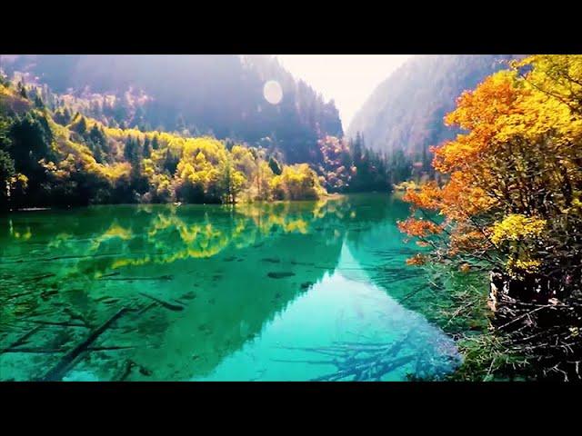 Beautiful Piano Music: Relaxing Music, Romantic Music, Sleep Music, Study Music 001