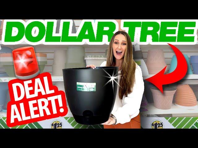 Why EVERYONE is grabbing these HUGE PLANTERS from Dollar Tree!  GENIUS outdoor patio DIYs