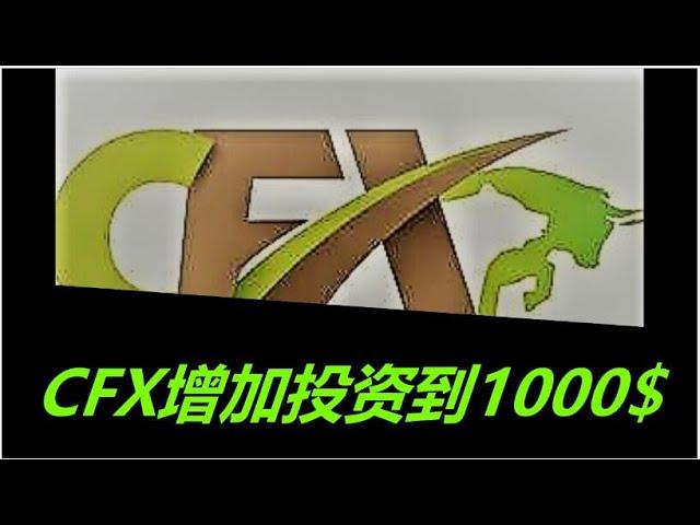 CashFX(Cash Forex Group)2020年最火爆项目之一 投资测试完成，追加投资到1000$