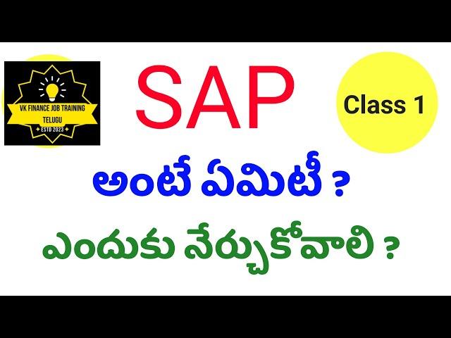 What is SAP in telugu | SAP ERP Introduction in telugu