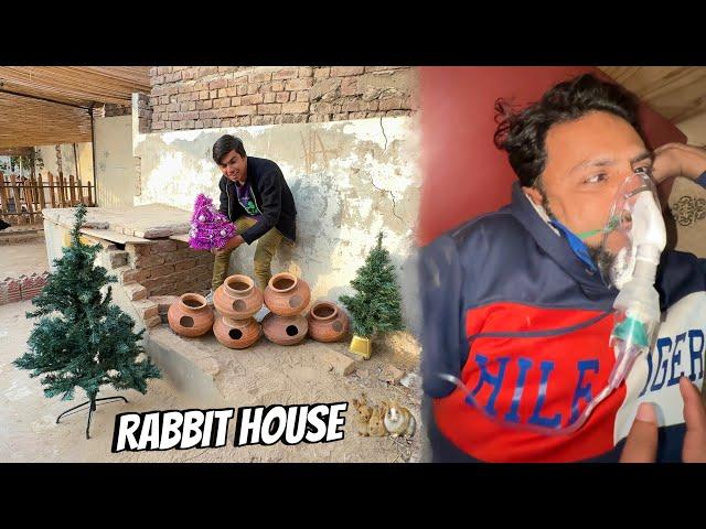 Rabbit House Ka Kam Start  Mamu Ko Kia Ho Gea 