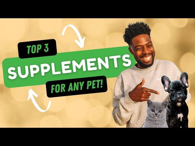 BEST NATURAL SUPPLEMENTS FOR ANY DOG & CAT | For any pet food