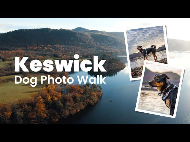 See how we take dog portraits in the Lake District | Walk With Us