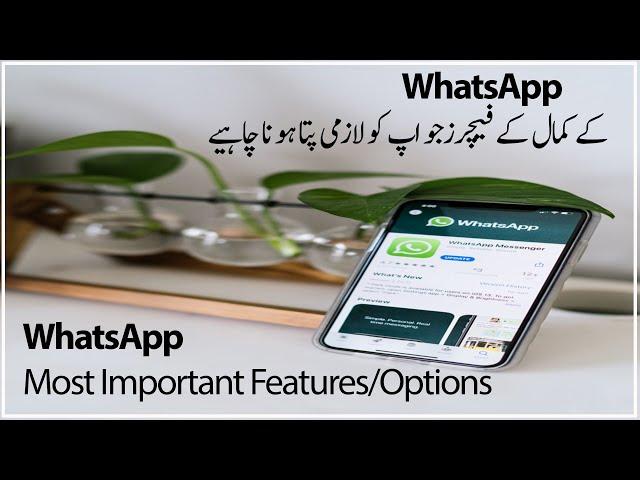 WhatsApp Features Part 1 | WhatsApp Hidden Features | Useful WhatsApp Settings Technical Aqib-TA