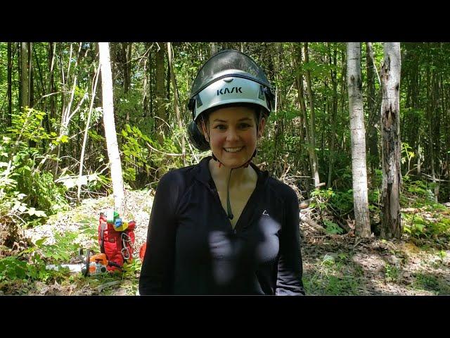 Winch & Pulley - Felling a tree against its lean