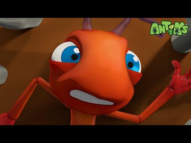 Berry Attractive |  Antiks & Insectibles  | Funny Cartoons for Kids | Moonbug