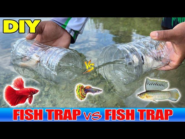 DIY Fish Trap VS Fish Trap!  Plastic Bottle Fish Trap