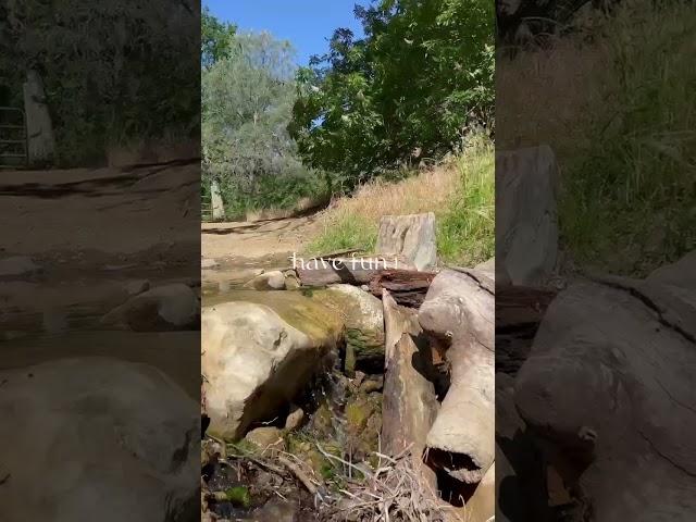 Hike through Mount Diablo
