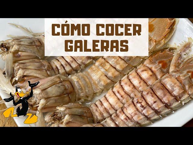 3 TRUCOS para Cocer Galeras  ¡TIEMPO DE COCCIÓN!