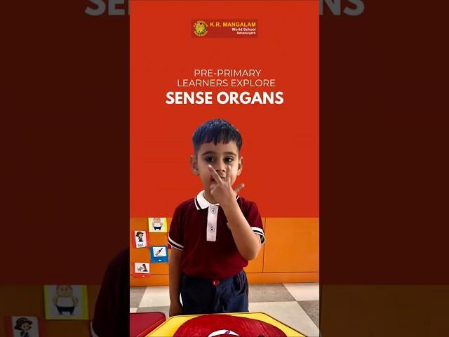 Exploring the Five Senses | Fun Pre-Primary Activity on Sense Organs