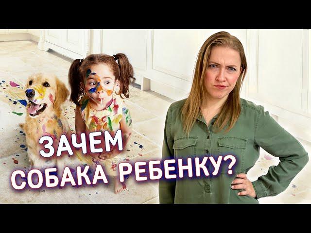 Собака для ребенка || Стоит ли заводить? Какие плюсы для ребенка от собаки?