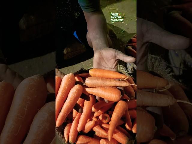 carrot  16kg today gudimalkapur wholesale vegetable market #diy #viralshort #shorts #like #sub #1m