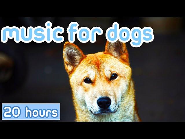 [NO ADS] Music for Dogs: Gentle Songs to Promote Sleep, Cure Depression!