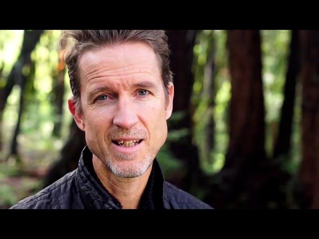 Wisdom 2 0 Connections  Soren Gordhamer 720p1