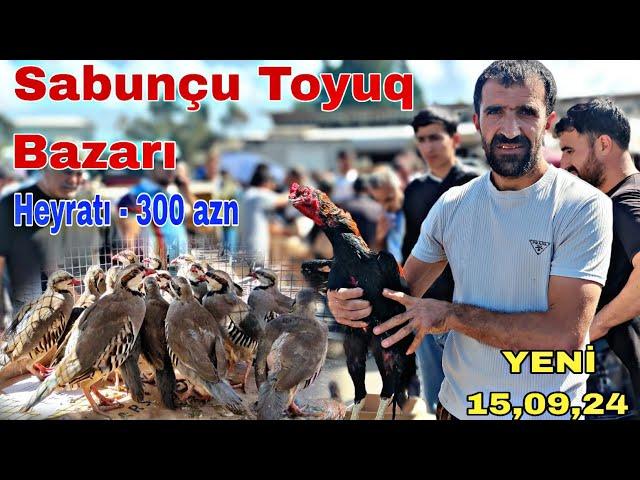 Sabunçu Toyuq Bazarı 15 sentyabr 2024