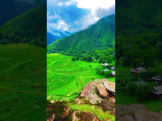 Leepa Valley Azad Kashmir #kashmir #kashmirbeauty #kashmirtourism  #shortvideo #travel #shorts