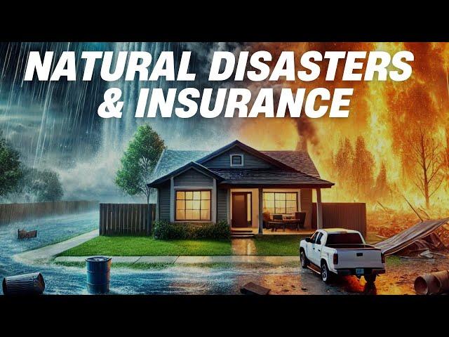 From Hurricanes to Wildfires: The Future of Homeowners Insurance - w/ Martin Grace || EP109