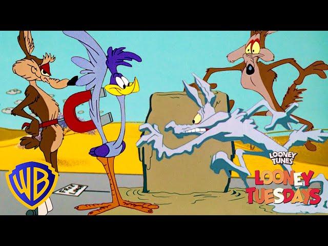 Looney Tuesdays | Coyote's Best Failed Plans | Looney Tunes | WB Kids