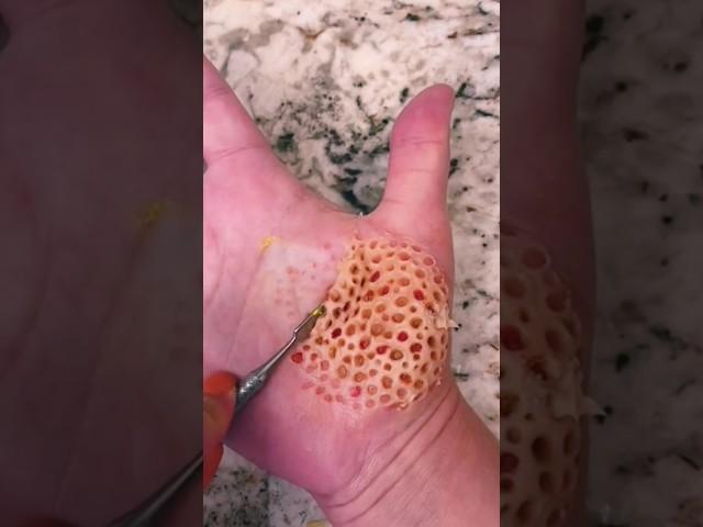 This video makes you feel trypophobia  #sfx #sfx_makeup #youtubeshorts #makeup #shorts