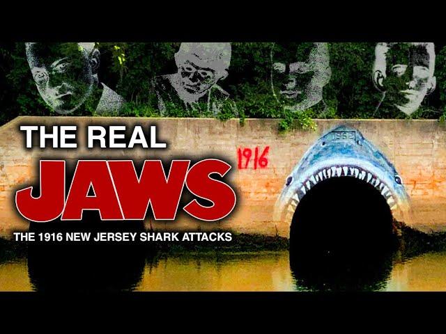 The BRUTAL True Story Behind "JAWS" | 1916 New Jersey Shark Attacks | Visiting Locations