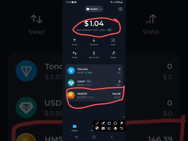 how to withdraw money from hamster kombat with tonkeeper #hamsterkombat #tonekipper #everyone #high