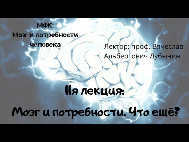 11я лекция Мозг и потребности  Что ещё  Вячеслав Дубынин