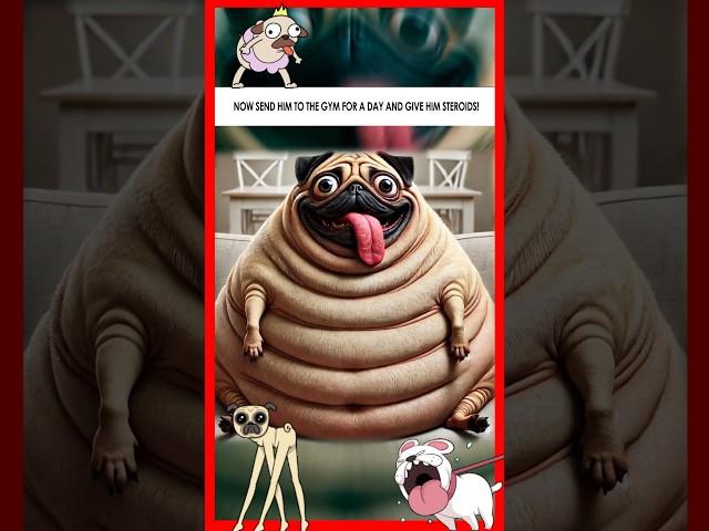  Pug’s Incredible Weight Transformation Journey  #pug