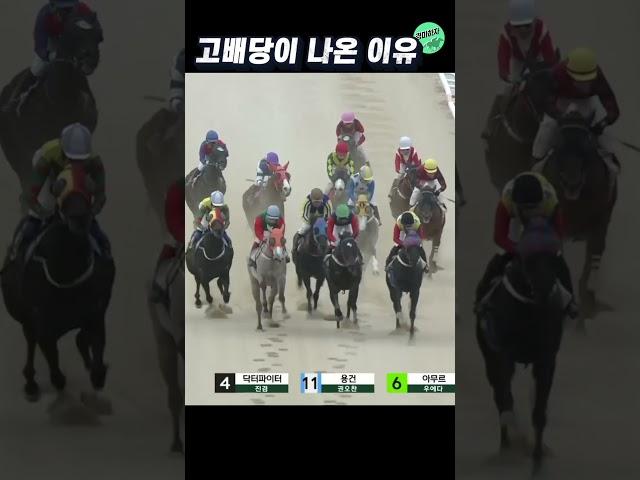 초고배당 12694.2배가 터진이유! #shorts