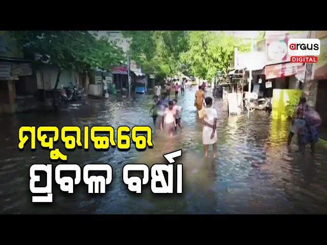 ମଦୁରାଇରେ ପ୍ରବଳ ବର୍ଷା | Madurai | Heavy Rain | Argus Digital