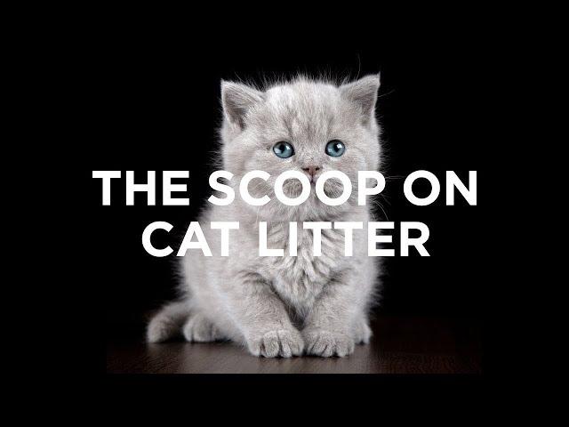 The Scoop on Cat Litter | Sierra Club Video