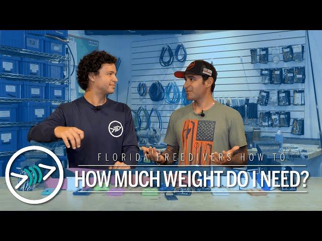 How Much Weight Do I Need Freediving or Spearfishing - Florida Freedivers