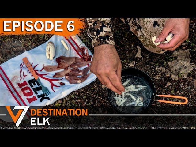 An Unexpected Source of Food - Episode 6 (Destination Elk V7)