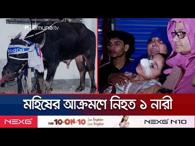 রাজধানীর মগবাজারে ক্ষ্যাপাটে মহিষের আক্রমণে নারী নিহত,আহত ১০ | Buffalo attack | Jamuna TV