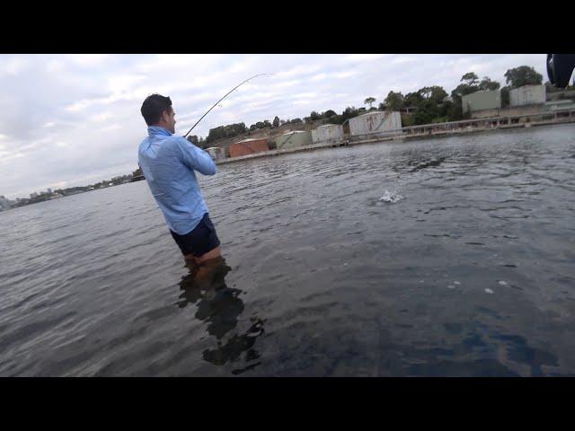 DOUBLE HOOK UP.  Ledge Session - Watsons Leaping Bonito