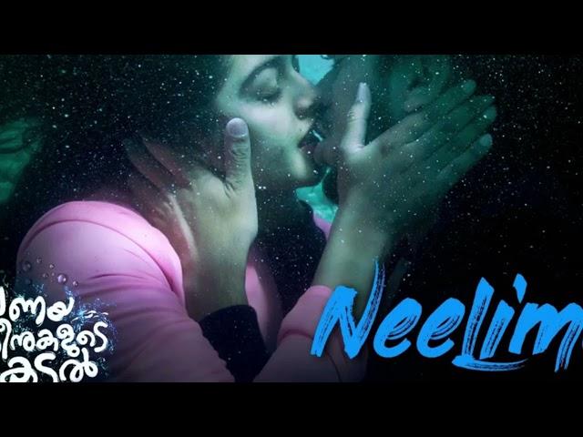 Neelime Malayalam indian Dj