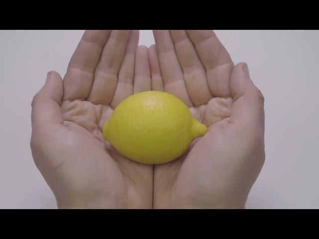 Lemon Laws - Stop Motion  - Spanish