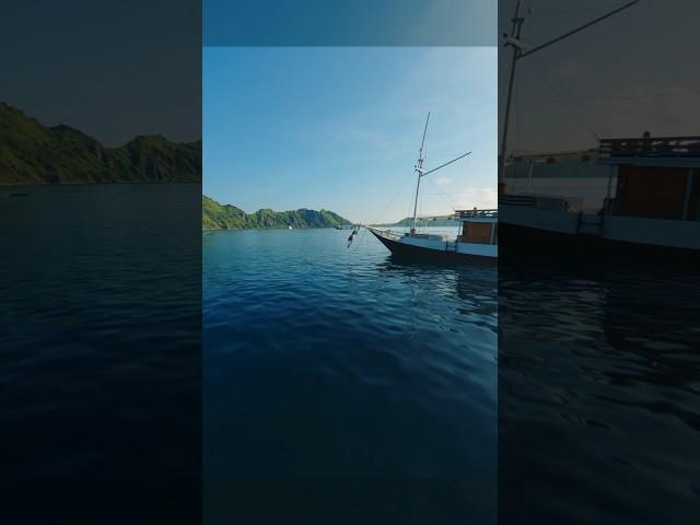 A week sailing around Komodo️ #cinematicfpv #fpvdrone #travelcontent #nature