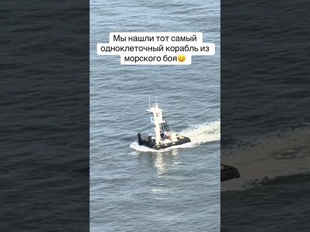 Одноклеточный корабль существует